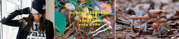 каннабис Мегион