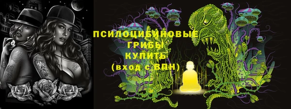 MDMA Медвежьегорск