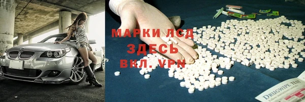 ПСИЛОЦИБИНОВЫЕ ГРИБЫ Михайловка
