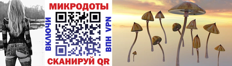 Купить где  Аргун  Псилоцибиновые грибы мицелий 