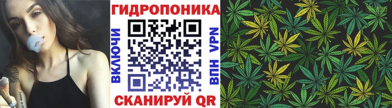 Каннабис тримм Аргун